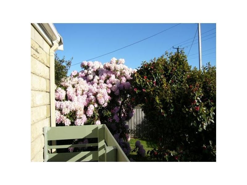 51 West Minstone Road, Scottsdale TAS 7260