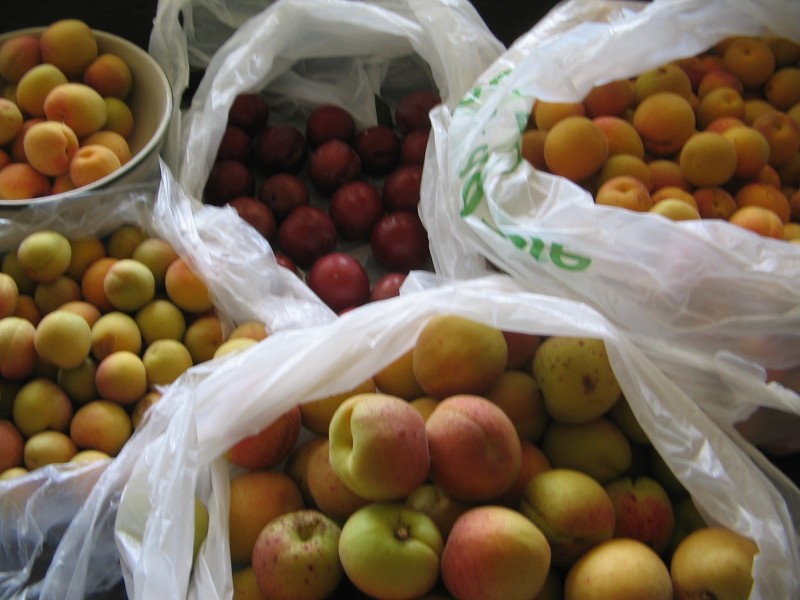 Ellimatta,5 Trewin Road, Goorambat VIC 3725