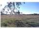 34 Moloney Road, Loganlea QLD 4131