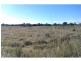 34 Moloney Road, Loganlea QLD 4131