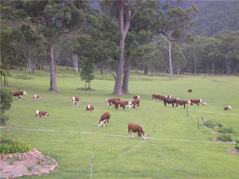 1132 White Swamp Road, Old Koreelah NSW 2476