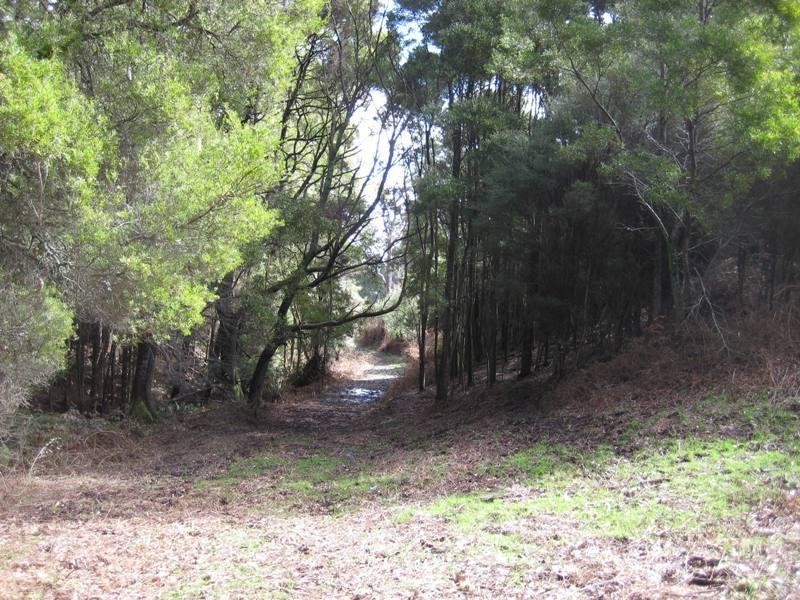 18701 Bass Highway, Montumana TAS 7321