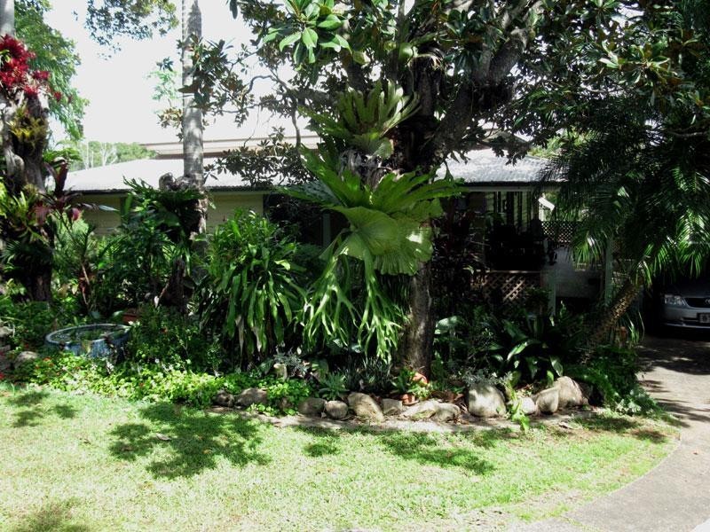 293 North Teven Road, Teven NSW 2478