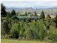 252 Wandella Road, Cobargo NSW 2550