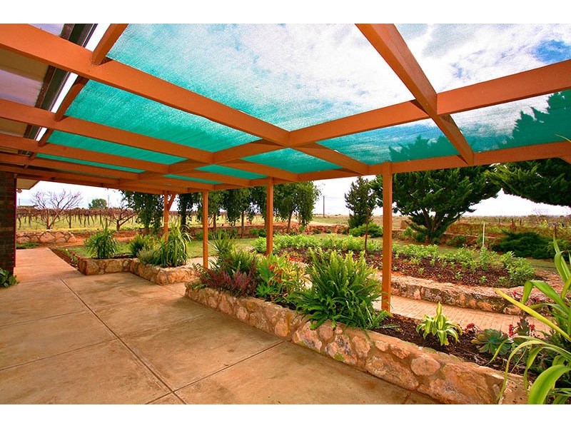 Wookata Vineyard 184 Stott Highway, Swan Reach SA 5354