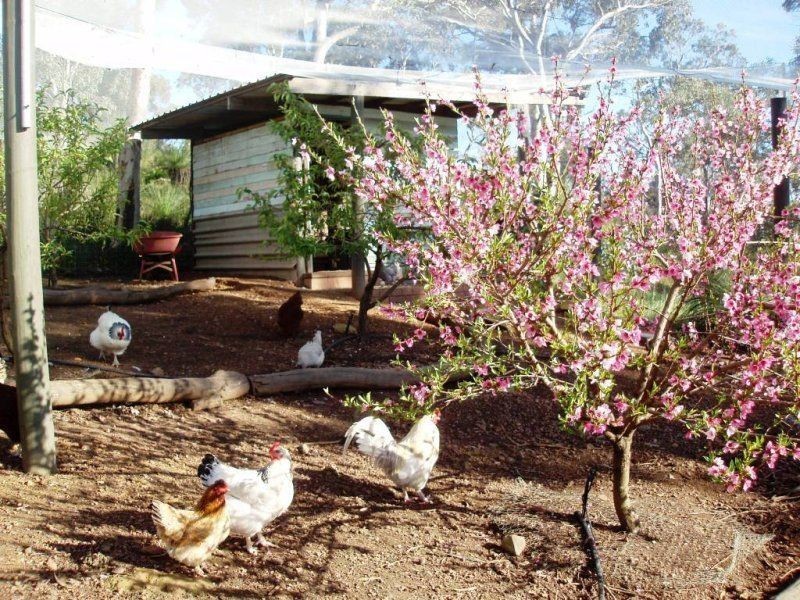 1010 Reen Road, Gidgegannup WA 6083