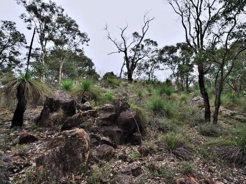 1010 Reen Road, Gidgegannup WA 6083