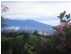 94 Ellinjaa Road, Millaa Millaa QLD 4886