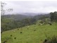 94 Ellinjaa Road, Millaa Millaa QLD 4886