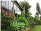94 Ellinjaa Road, Millaa Millaa QLD 4886