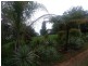 94 Ellinjaa Road, Millaa Millaa QLD 4886