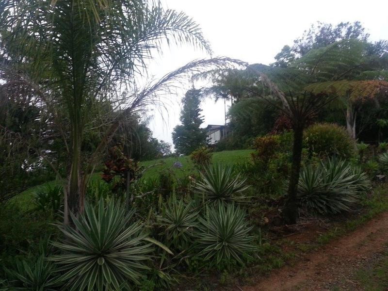 94 Ellinjaa Road, Millaa Millaa QLD 4886