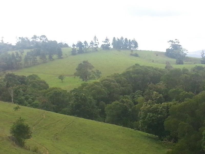 94 Ellinjaa Road, Millaa Millaa QLD 4886