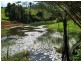 94 Ellinjaa Road, Millaa Millaa QLD 4886