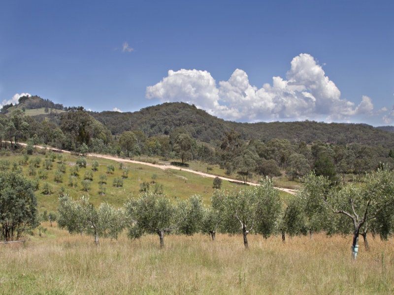 1944 Campbells Creek Road, Carcalgong NSW 2850