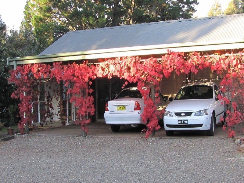 16 Mitchell Street, Wentworth Falls NSW 2782