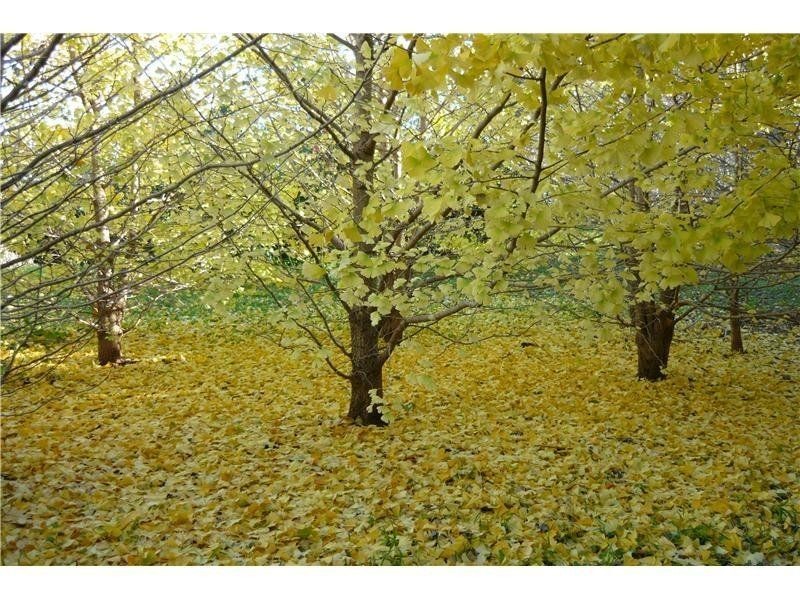 512 Tourist Road, Bellawongarah NSW 2535