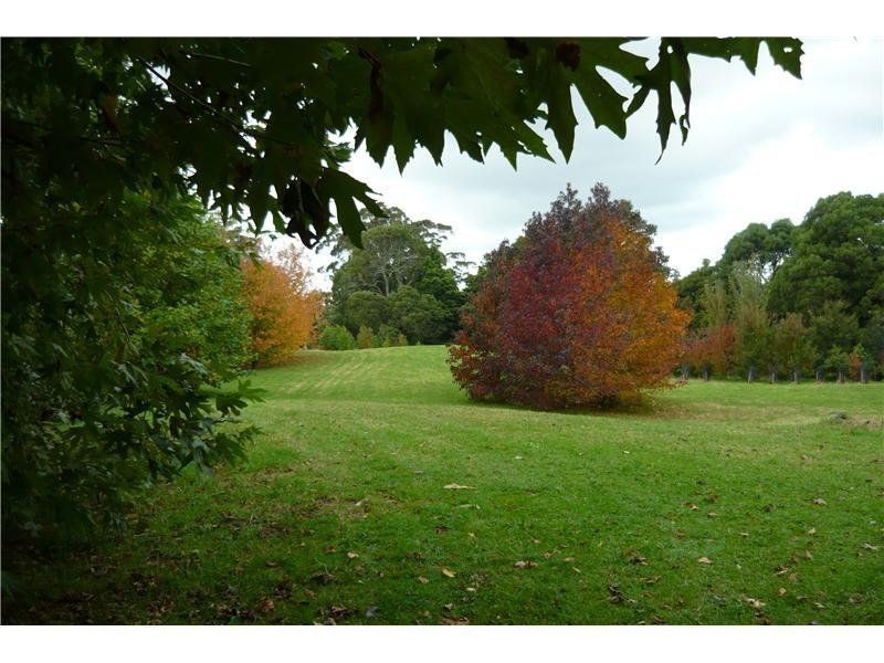 512 Tourist Road, Bellawongarah NSW 2535