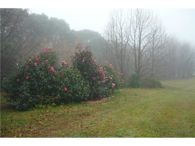 512 Tourist Road, Bellawongarah NSW 2535