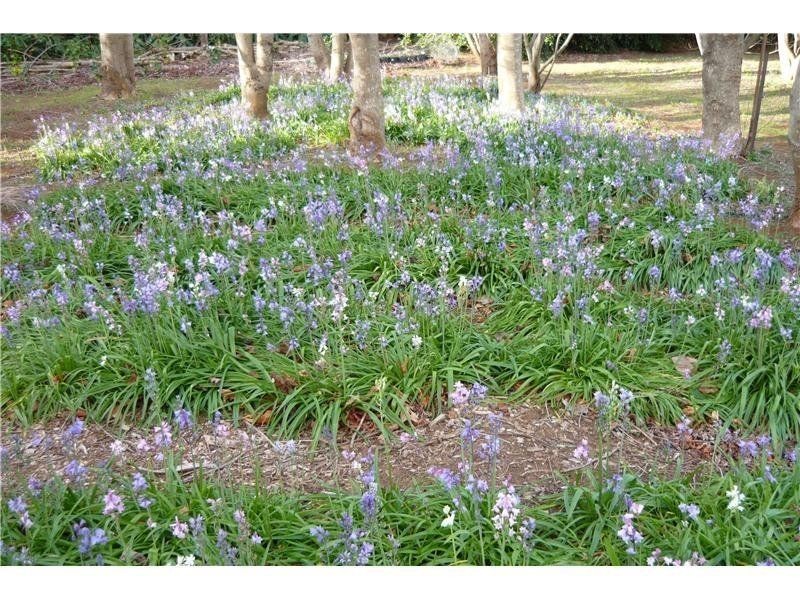 512 Tourist Road, Bellawongarah NSW 2535