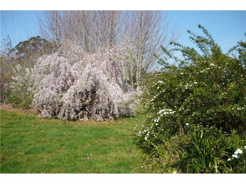 512 Tourist Road, Bellawongarah NSW 2535