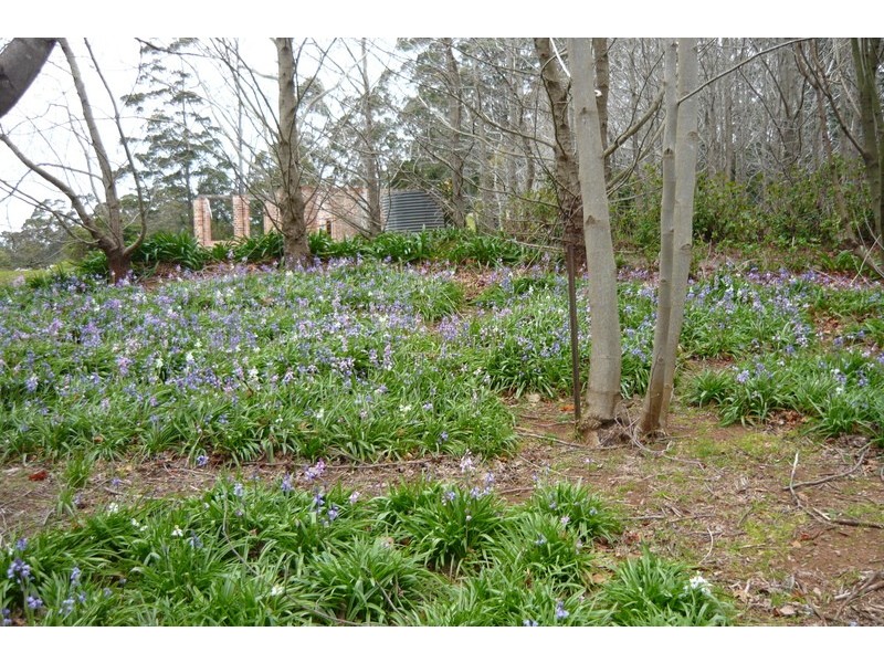 512 Tourist Road, Bellawongarah NSW 2535