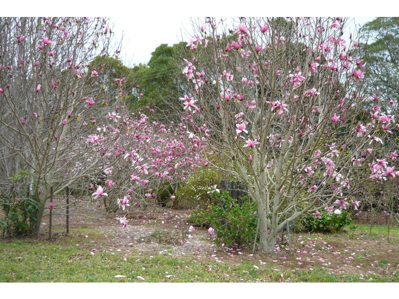 512 Tourist Road, Bellawongarah NSW 2535