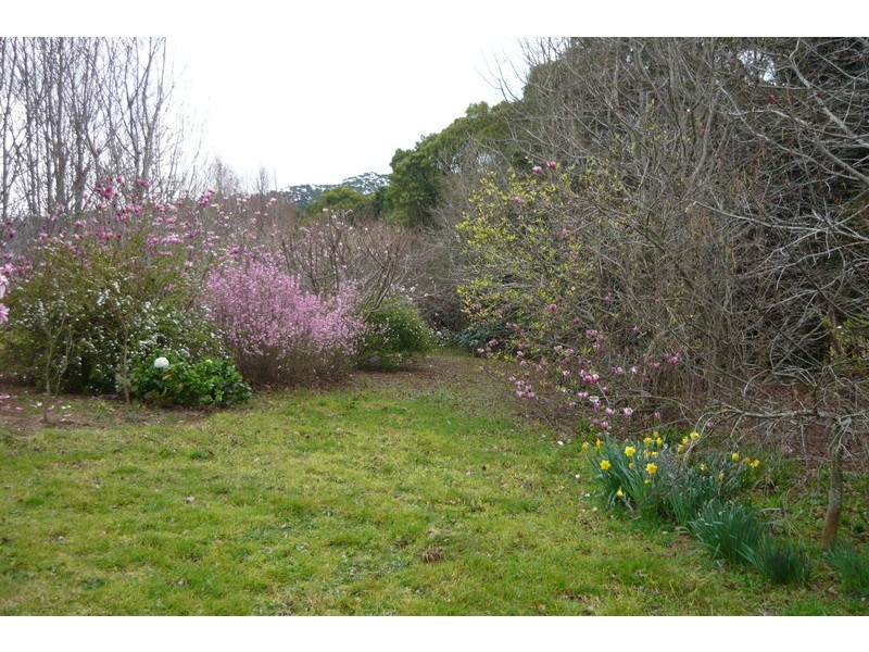 512 Tourist Road, Bellawongarah NSW 2535