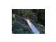 227 Repeater Station Road, Springbrook QLD 4213