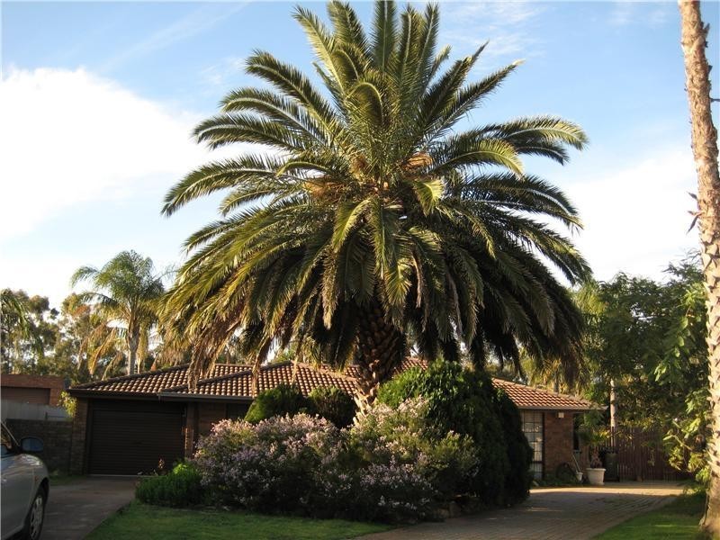 17 Chancery Lane, Alexander Heights WA 6064