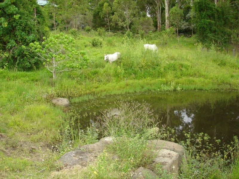 277 Lower Mount Mellum Road, Mount Mellum QLD 4550