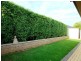 3 Overland Crescent, Sheidow Park SA 5158