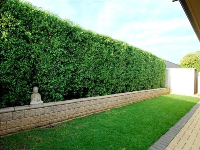 3 Overland Crescent, Sheidow Park SA 5158