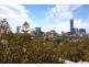 39 Brindle Street, Paddington QLD 4064