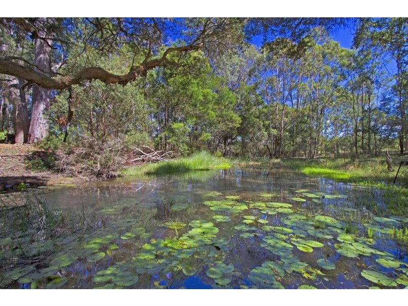 43 Meadows Road, North Richmond NSW 2754