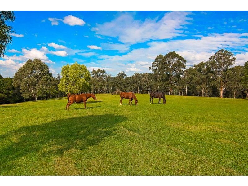 36 Vincents Road, Kurrajong NSW 2758