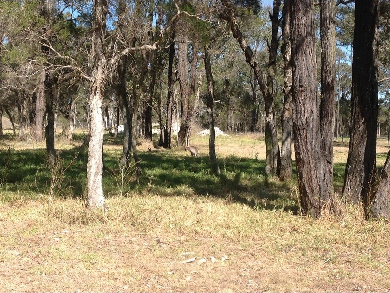 54 Spencer Road, Londonderry NSW 2753