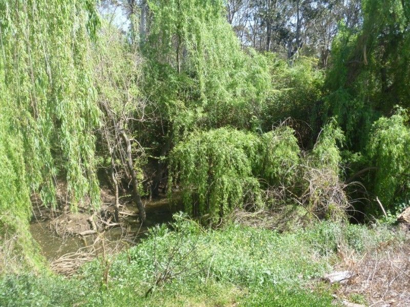 Shanes Park NSW 2747