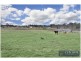 Llandilo NSW 2747