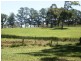 Bilpin NSW 2758