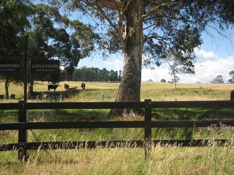 388C Mt Tootie Road, Bilpin NSW 2758