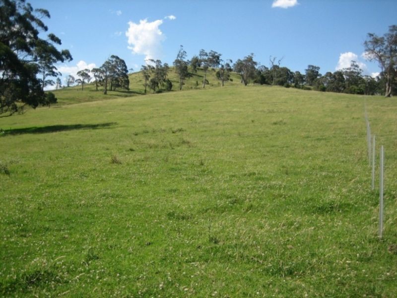 388C Mt Tootie Road, Bilpin NSW 2758