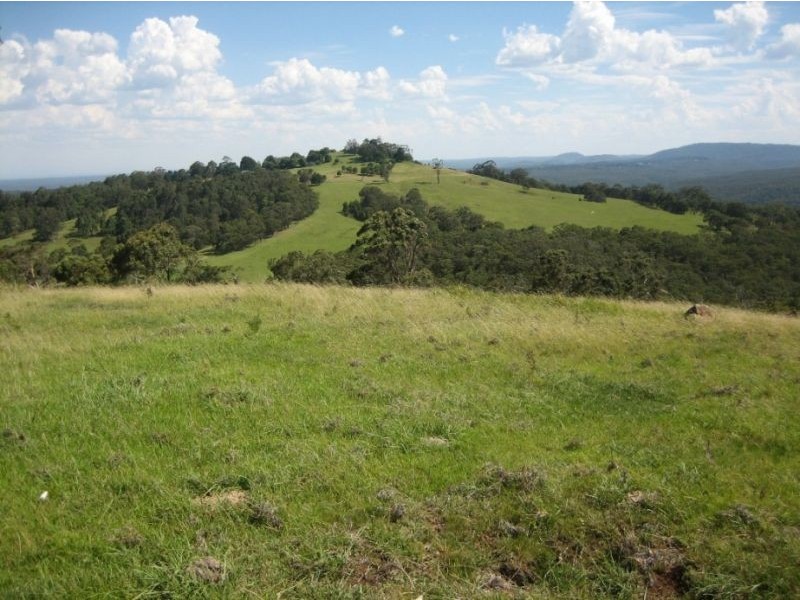 388C Mt Tootie Road, Bilpin NSW 2758