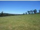 388C Mt Tootie Road, Bilpin NSW 2758