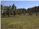 Putty NSW 2330