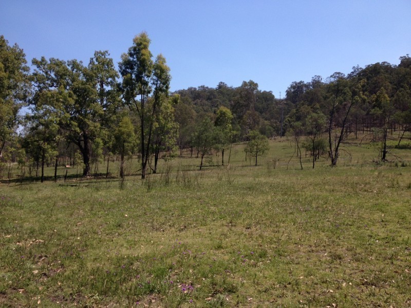 Putty NSW 2330