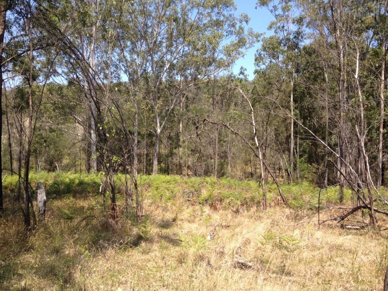 Putty NSW 2330
