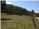 Putty NSW 2330