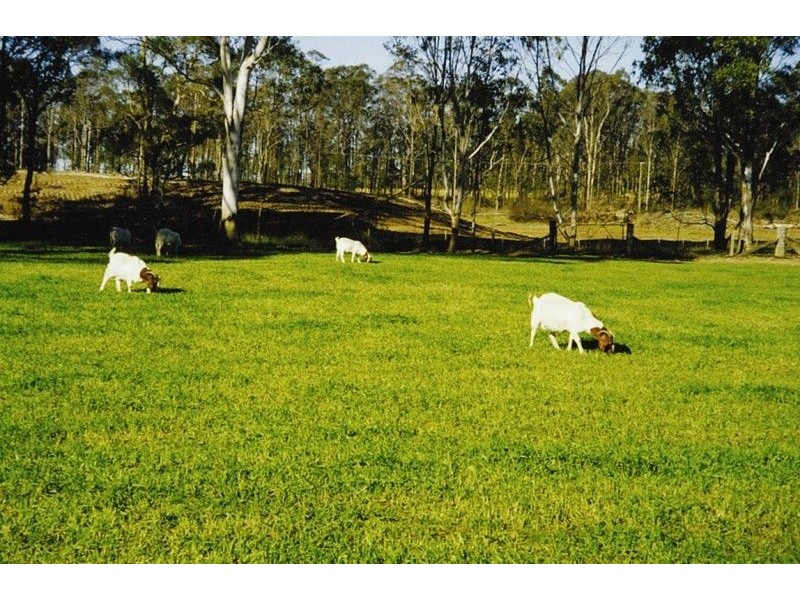 Freemans Reach NSW 2756