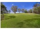 727 Comleroy Road, Kurrajong NSW 2758